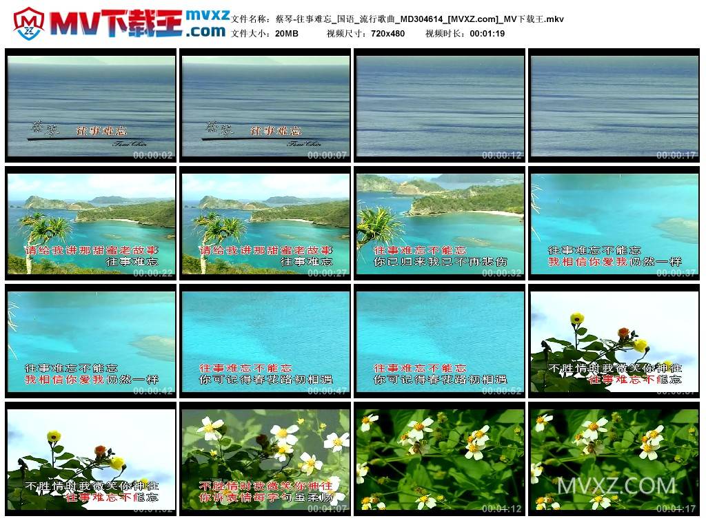 蔡琴-往事难忘_国语_流行歌曲_MD304614